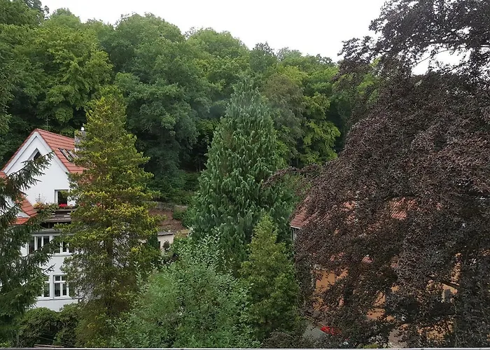 - Restaurant Sophienaue Hotel 3*