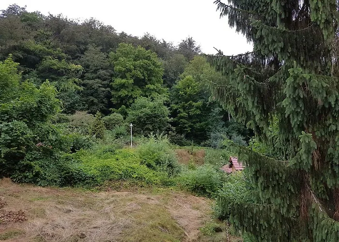 - Restaurant Sophienaue 3*