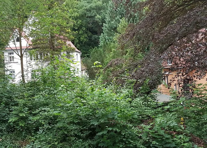 Hotel - Restaurant Sophienaue Eisenach